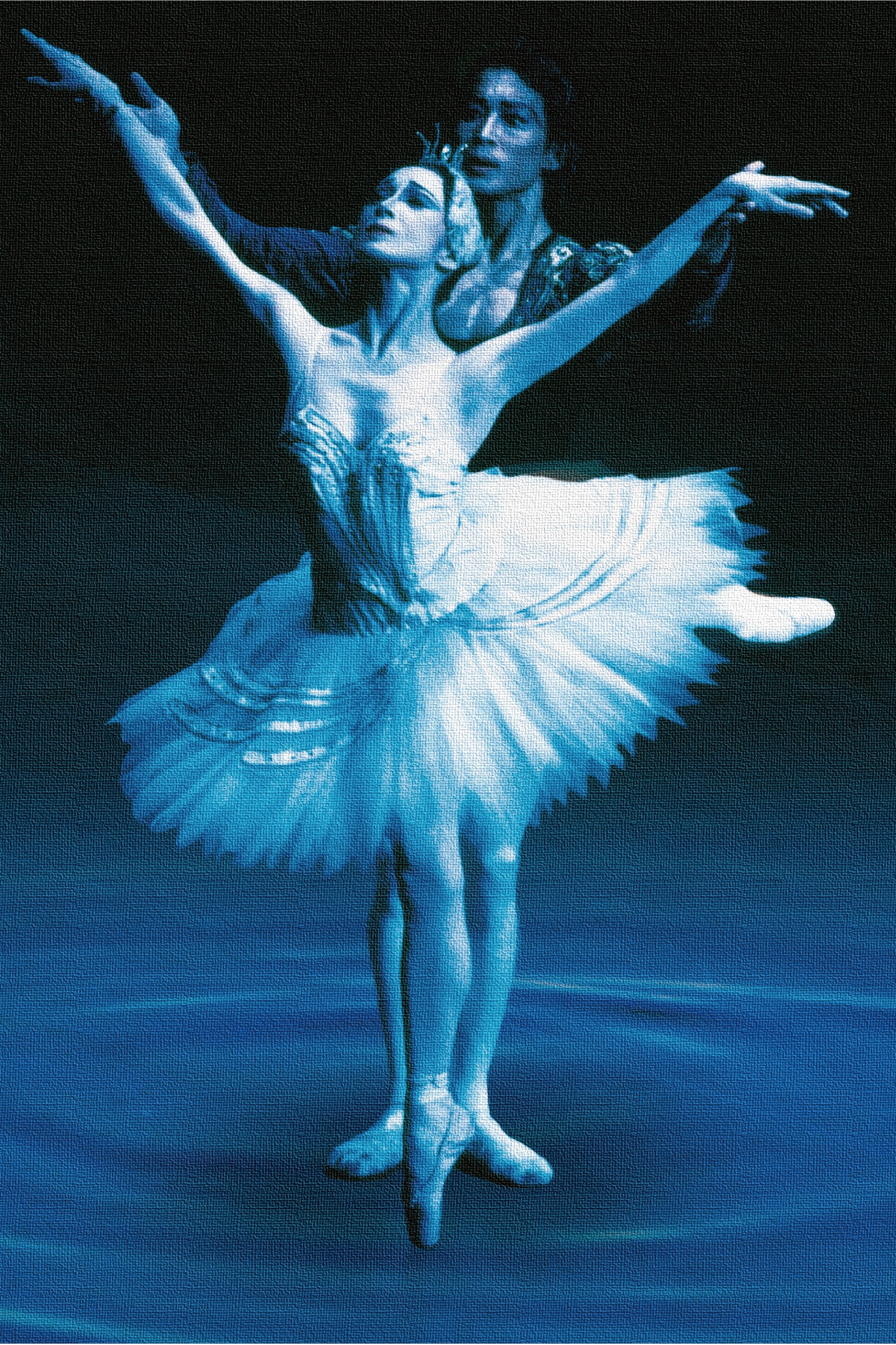 new_swanlake 14.jpg